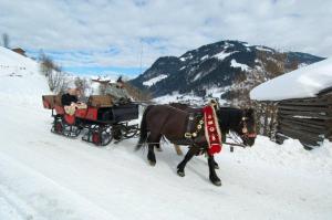 Landhaus Huber during the winter