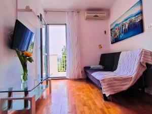TV a/nebo společenská místnost v ubytování Apartments ZB