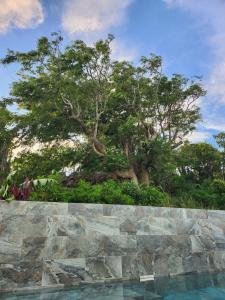 Fotografie z fotogalerie ubytování New ! Villa GAMA vue mer ! v destinaci Anse des Flamands