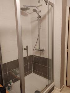 a shower with a glass door in a bathroom at Chez FLO - Appartement 1 chambre privée in Angers