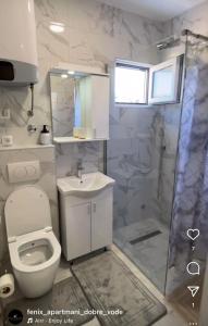 a bathroom with a toilet and a sink and a shower at Fenix Apartmani Dubrava in Dobra Voda