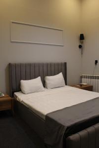 巴库Future Inn Hotel Nizami street的一张带两个白色枕头的床