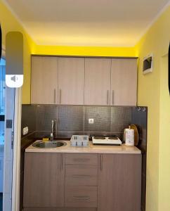 a kitchen with a sink and a counter top at Fenix Apartmani Dubrava in Dobra Voda