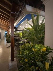 a patio with plants and a table and chairs at HOTEL PLAZA BOLIVAR MOMPOX ubicado en el centro histórico con parqueadero interno in Mompos