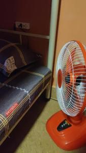 西哈努克Island View Hostel的相册照片