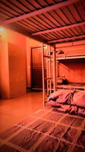 Island View Hostel客房内的一张或多张床位