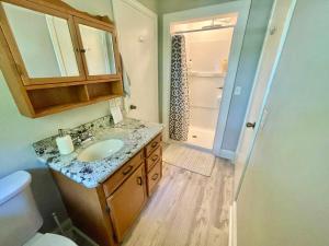 a bathroom with a sink and a shower at New Modern Lux Large Home 10MIN Downtown Sleeps 12 in Taylors +41 photos