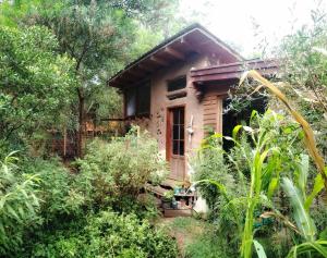 ein kleines Haus mitten im Wald in der Unterkunft Casa Kawsay Punta N in Barra de Portezuelo + 5 Fotos