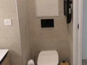 a small bathroom with a toilet and a sink at Studio vue mer climatisé, 2 à 4 pers., parking en option à Villeneuve-Loubet Plage - FR-1-252A-131 in Villeneuve-Loubet