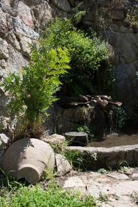 Vonkajšia záhrada v ubytovaní Hotel Rural El Paraiso de Gredos