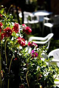 Vonkajšia záhrada v ubytovaní Hotel Rural El Paraiso de Gredos