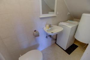 a bathroom with a toilet and a sink at Vila Mirta in Nerezine +69 photos