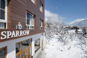 冬天的Hotel Sparrow