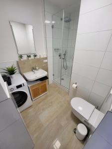 オーバーシュライスハイムにある2-Zimmer Wohnung 1 - Apartments am Schlossのトイレ、洗面台、シャワー付きのバスルーム +8枚の写真