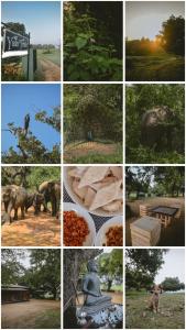 Fotografie z fotogalerie ubytování Yala Trails v destinaci Kataragama
