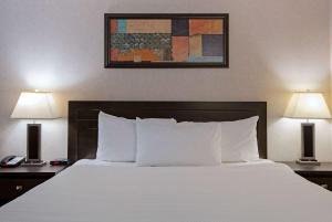 Voodi või voodid majutusasutuse Travelodge by Wyndham Kamloops Mountview toas