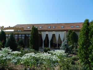 Covaci的住宿－Anette Resort & SPA，前面有花园的建筑