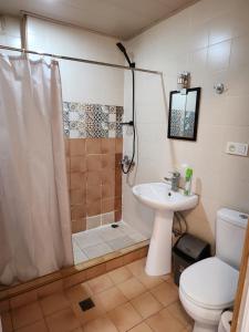 a bathroom with a shower and a toilet and a sink at City Guli in Tbilisi City +19 photos