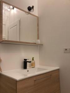 a bathroom sink with a mirror and a bottle of soap at Studio vue sur fontaine des éléphants in Chambéry