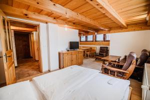 TV a/nebo společenská místnost v ubytování Vineyard Cottage Maleric with Pool Access