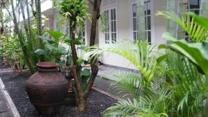 Zahrada ubytování SOLTERRA SEMINYAK Boutique Hotel & Spa Powered by Archipelago