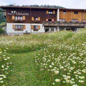 a field of flowers in front of a building at Haus Edelweiß in Bad Hindelang