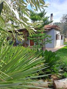 Gallery image of Bill's Garden Villa in Kálamos