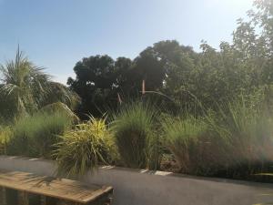 Galería fotográfica de Home SAKALAVA en Dzamandzar 51 fotos más