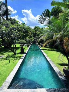a swimming pool in a yard with palm trees at Large Private Villa, central Seminyak, Bali in Seminyak