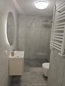 a bathroom with a sink and a toilet and a mirror at Korczaka Apartment in Elblag +9 photos