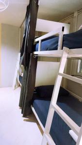 Palanda nebo palandy na pokoji v ubytování Babyshark Hostel - Loh Dalum Bay