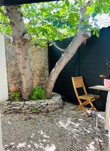 a table and a chair next to a tree at Studio avec Jardin in Balaruc-les-Bains