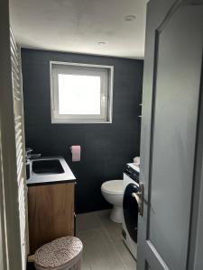 a small bathroom with a toilet and a window at T2 Mouguerre aux portes de Bayonne et Biarritz in Mouguerre