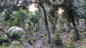 Jardí fora de Parc du Montnegre avec magnifique vue mer