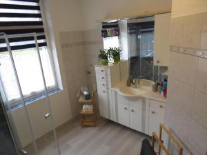 ein Badezimmer mit Waschbecken, Spiegel und Dusche in der Unterkunft FeWo Bergstadt Ehrenfriedersdorf in Ehrenfriedersdorf