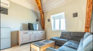 a living room with a couch and a tv at Le Puy De Dome in Montaigut-le-Blanc
