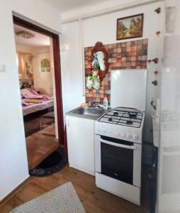a kitchen with a stove and a refrigerator at Bundik Vendégház in Berettyóújfalu