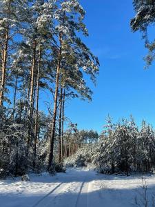 UTASIÓWKA Mazury v zime