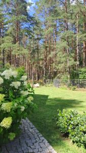 Vonkajšia záhrada v ubytovaní UTASIÓWKA Mazury