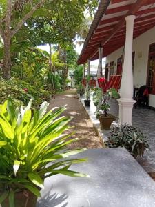 Сад в Bakery Family Guest House