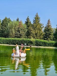 Billede fra billedgalleriet på Camping Au pays de Hanau i Dossenheim-sur-Zinsel