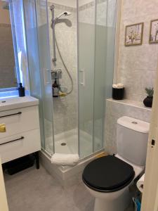 ein Badezimmer mit Dusche, Toilette und Waschbecken in der Unterkunft Charmant Studio in Cannes