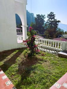Zahrada ubytování Shiv Shakti Yogpeeth Cottages