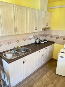 Kuchyň nebo kuchyňský kout v ubytování Gesztenye Apartman + 37 fotografií