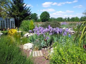 Gallery image of Le Clos de Saint Amour in Montauban