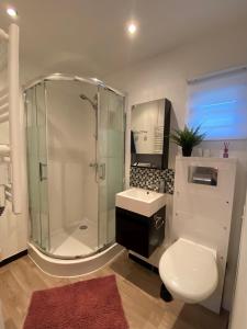 a bathroom with a shower and a toilet and a sink at L entre deux in Sangatte