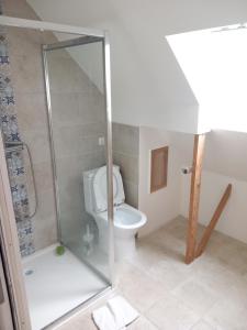 un baño con ducha y WC en Maison familiale dans le golfe du Morbihan, en Saint-Avé