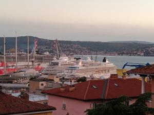 a cruise ship is docked in a harbor at Lullaby Holiday in Trieste