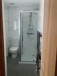 a bathroom with a shower and a toilet at The Dairy in Teignmouth +20 photos