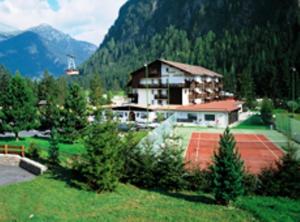 uma casa grande no meio de um campo verde em Parkhotel Fedora em Campitello di Fassa